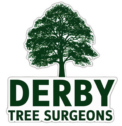 derby tree surgeon